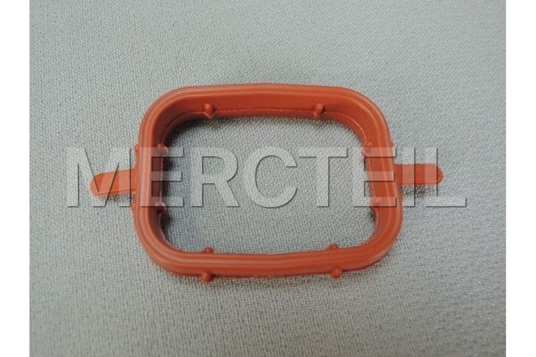 11617790198 BMW Profildichtung