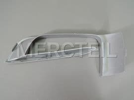 51117308043 BMW Trim on gril