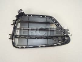 51117348109 BMW Grid lateral