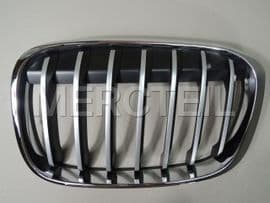 51117383365 BMW Grille, fron