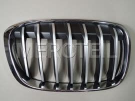 51117383366 BMW Grille, fron