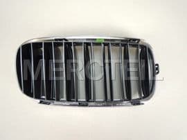 51118056323 BMW Grille, fron