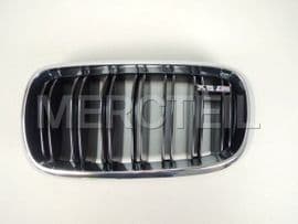 51118056323 BMW Grille, fron