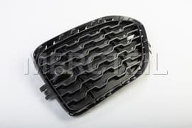 51118056941 BMW Grill, side,