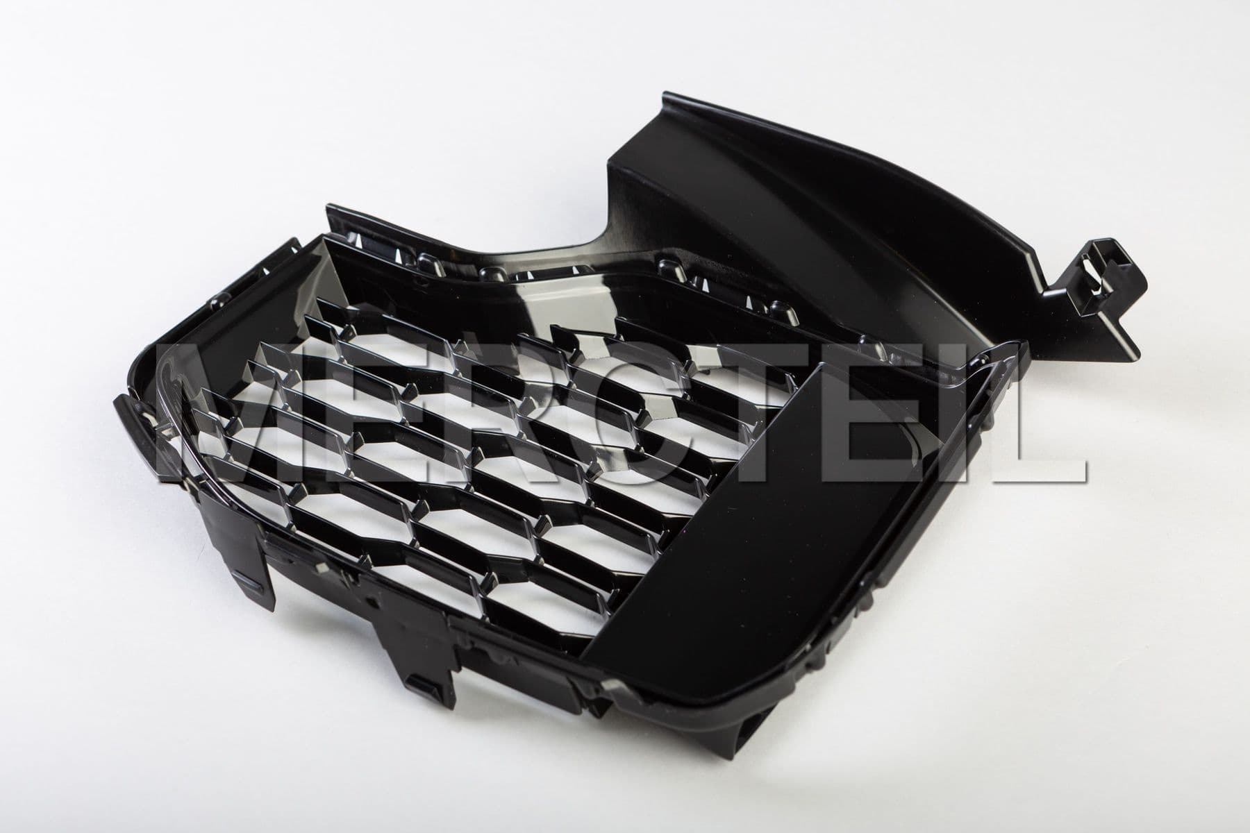 51118069209 BMW Grill, side,