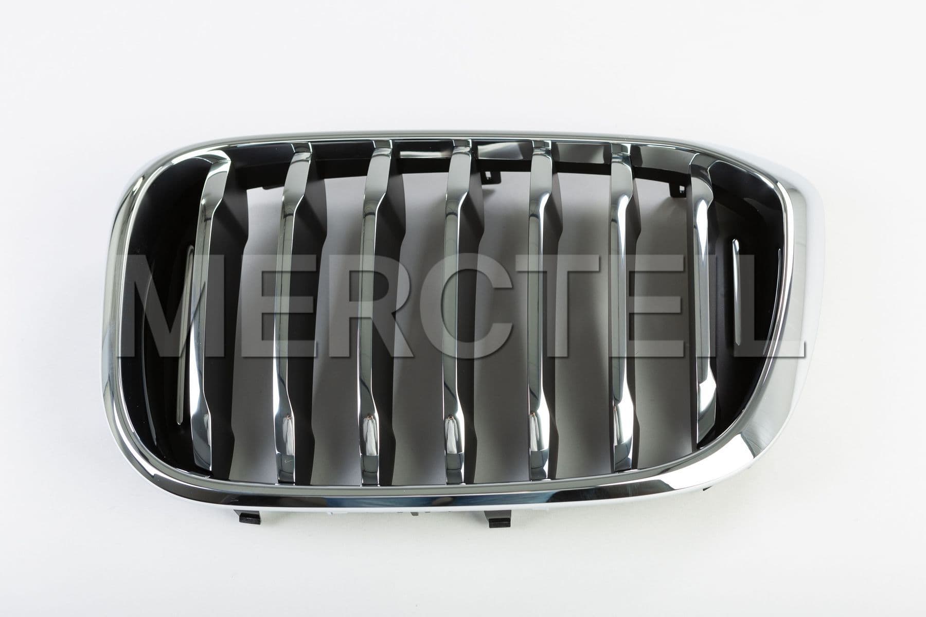 51137464919 BMW Grille, fron