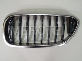 51138070469 BMW Grille, fron