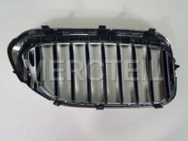 51138070469 BMW Ziergitter F