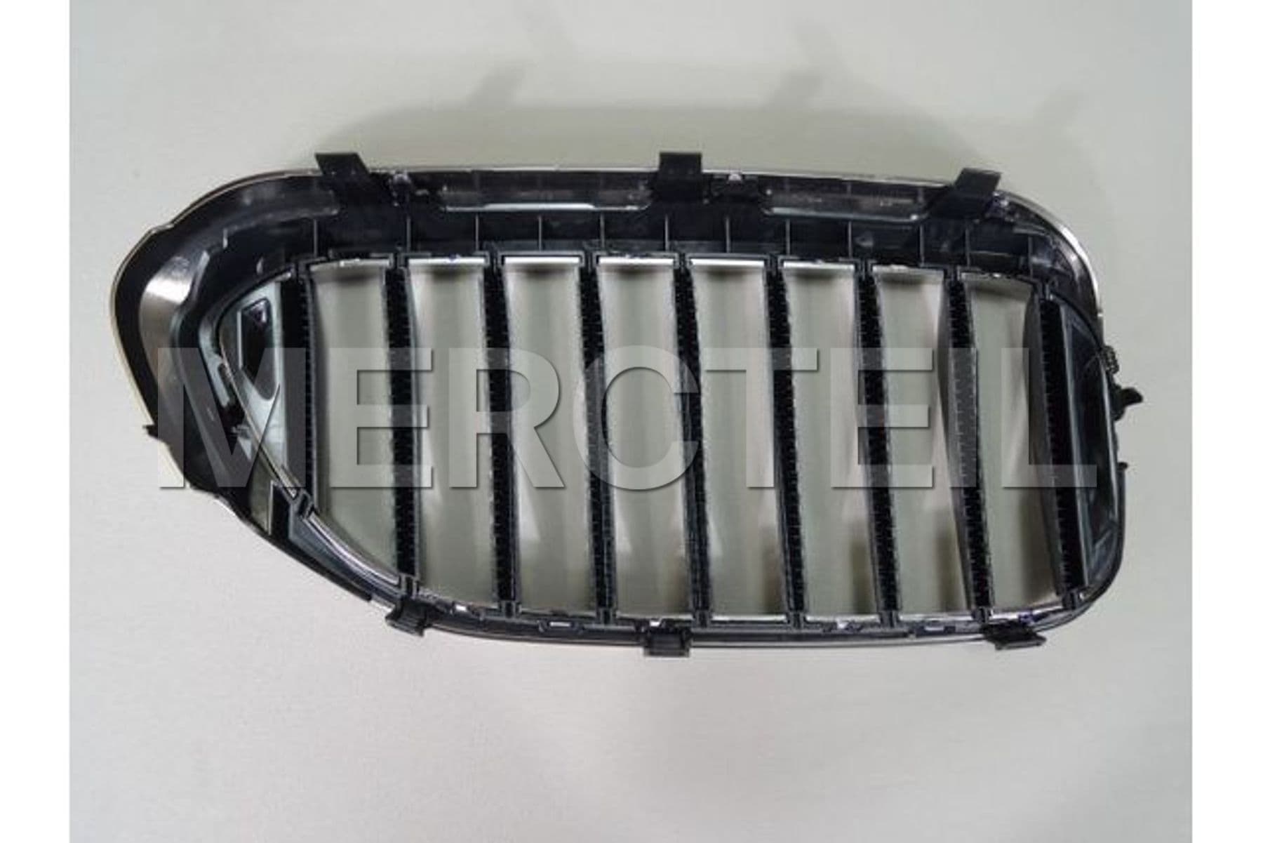 51138070469 BMW Ziergitter F