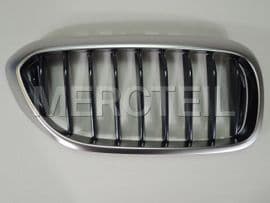 51138070470 BMW Grille, fron