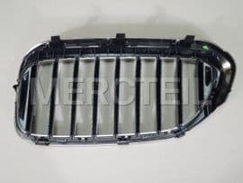 51138070470 BMW Grille, fron