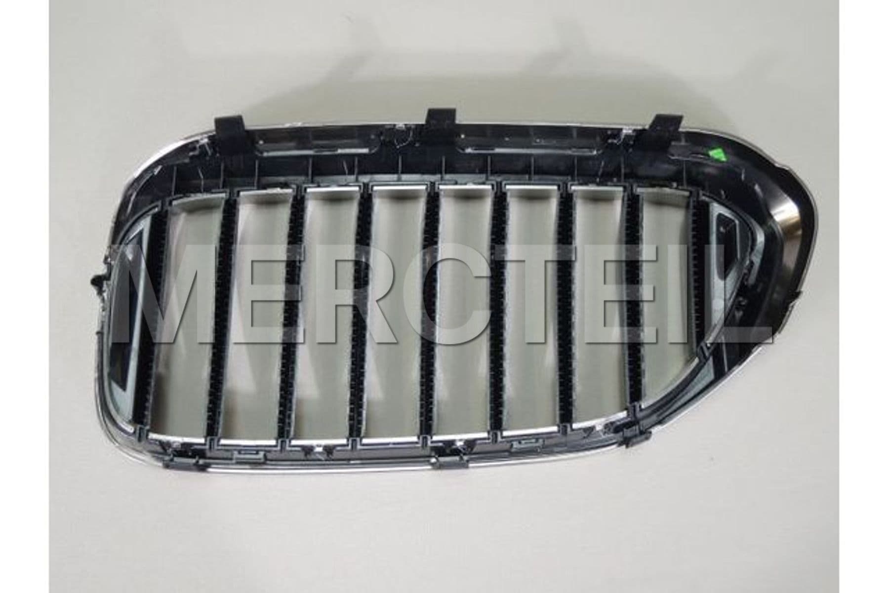 51138070470 BMW Grille, fron