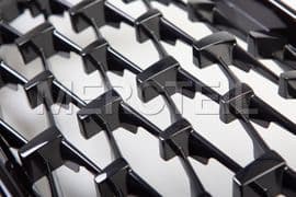 51138080493 BMW Grill front