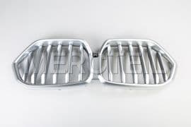 51138494884 BMW Grill front