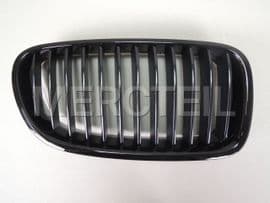 51712165528 BMW Trim grill,