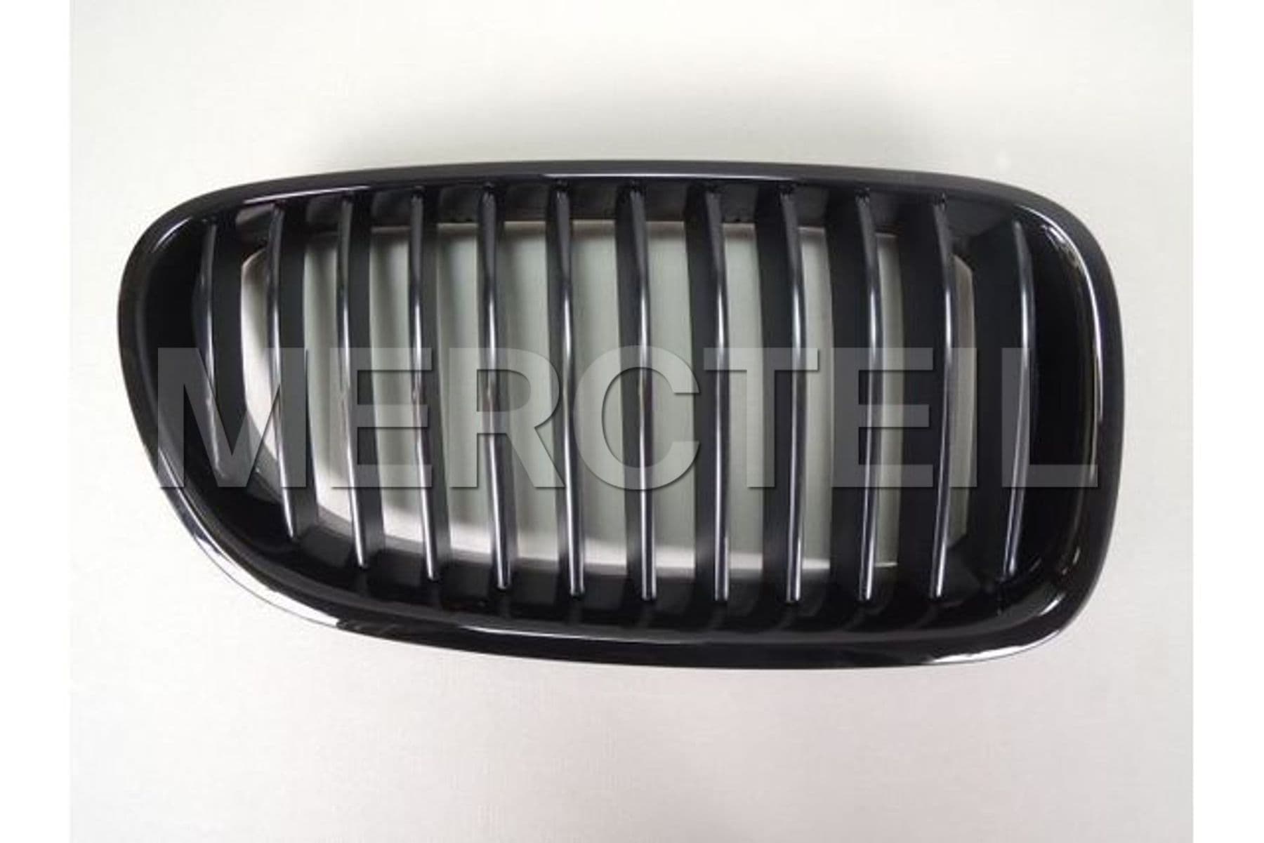 51712165528 BMW Trim grill,