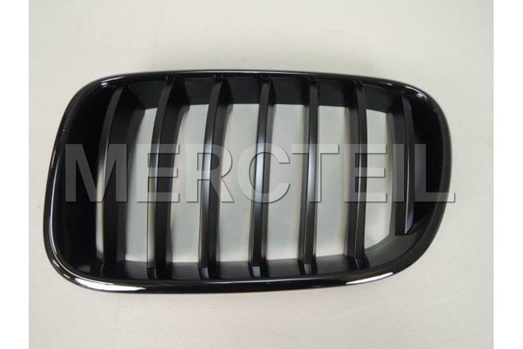 51712297589 BMW Trim grill,
