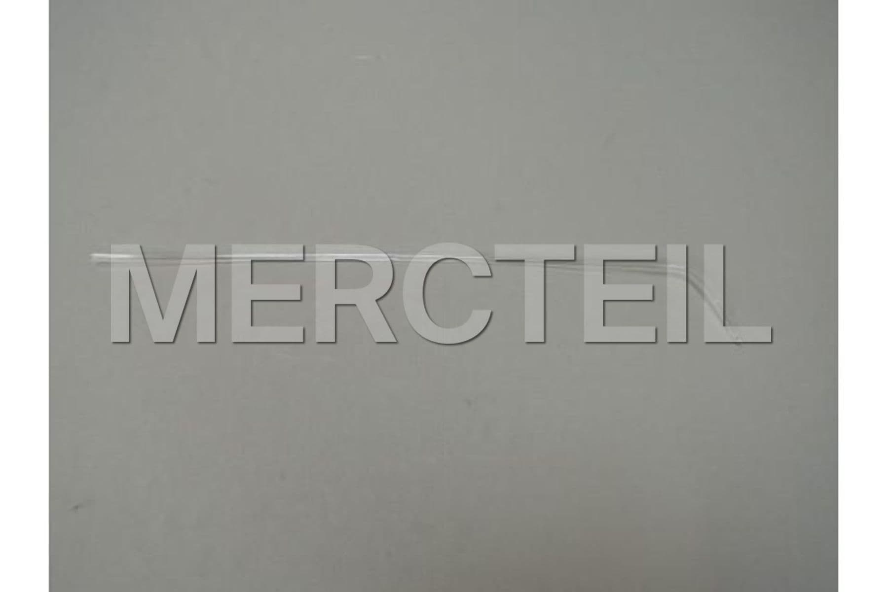 63319288374 BMW Lichtleiter Tuerablage vorn rec