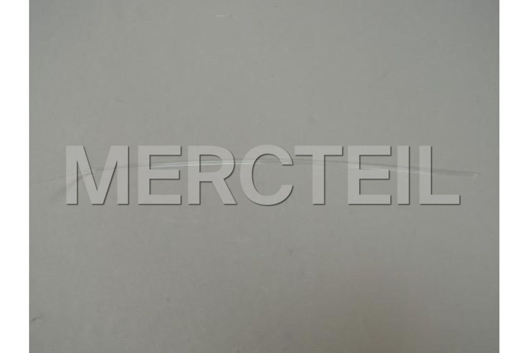63319288374 BMW Lichtleiter Tuerablage vorn rec