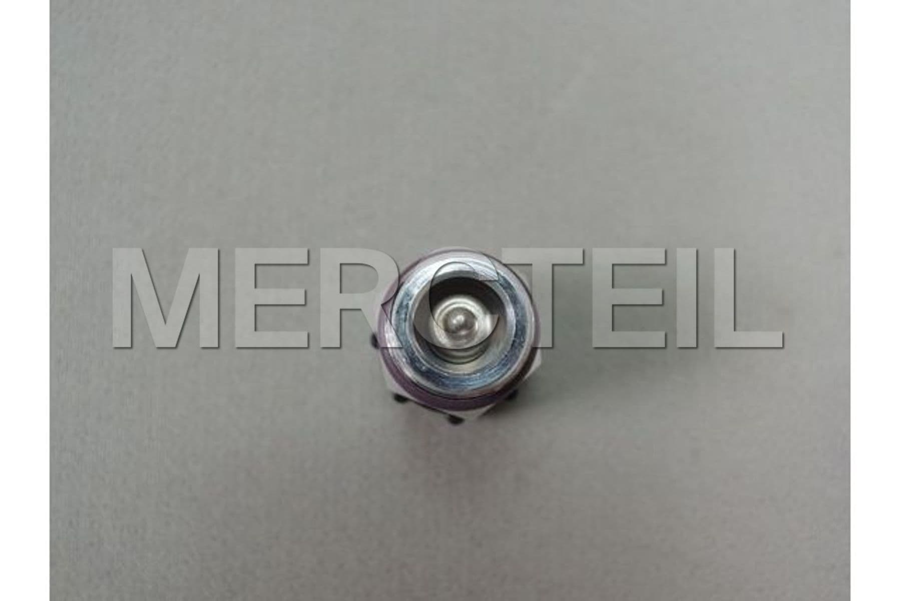 64509177579 BMW Valve insert