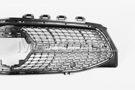 A118880080264 MERCEDES-BENZ RADIATOR GRILLE