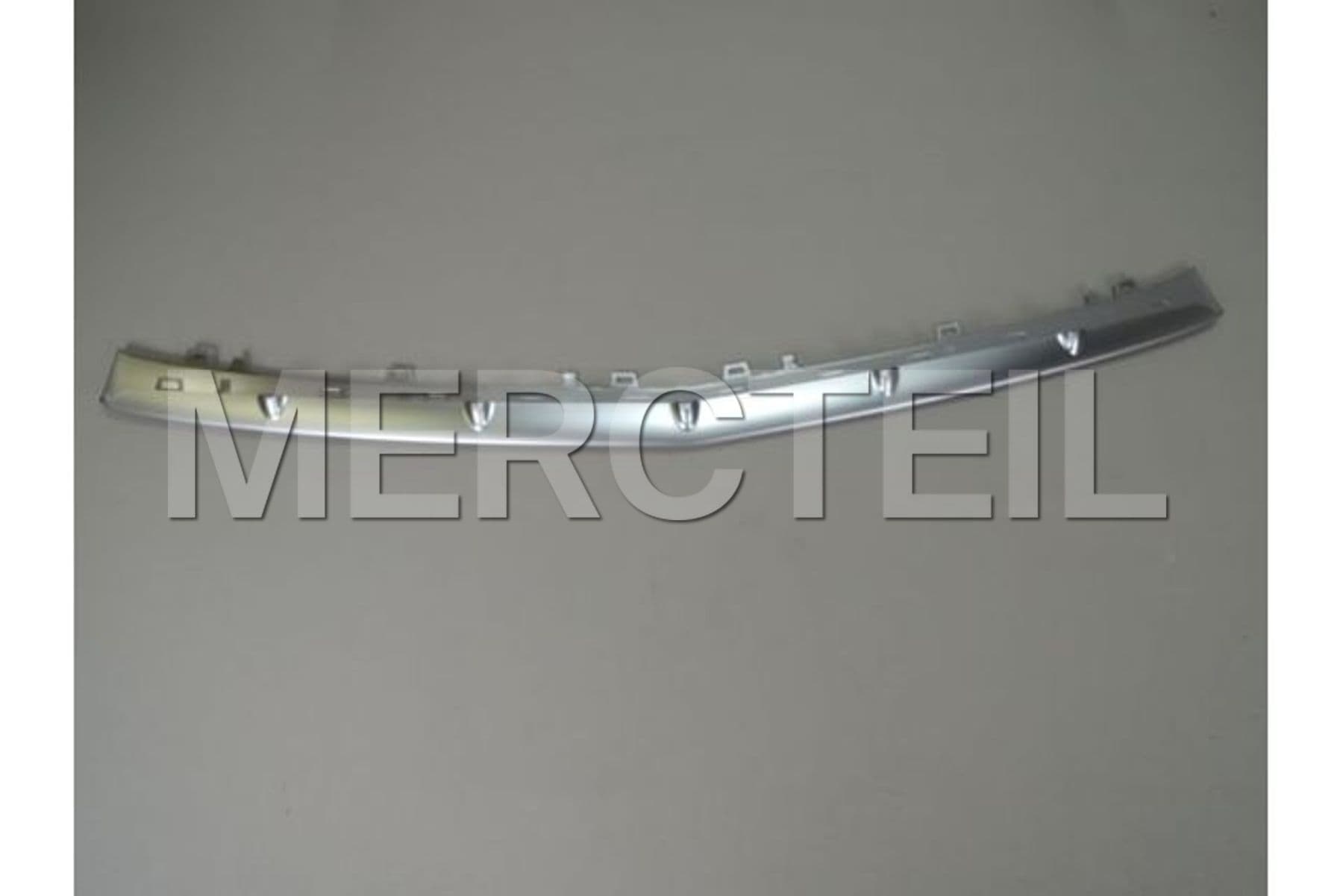 A1728852000 MERCEDES-BENZ TRIM STRIP