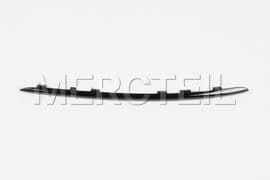 A2058858202 MERCEDES-BENZ TRIM STRIP