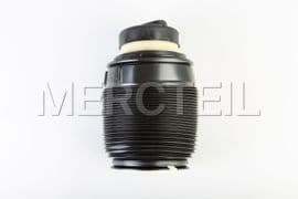 A2123203825 MERCEDES-BENZ LUFTFEDER