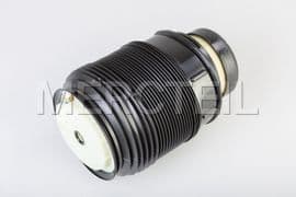 A2123203825 MERCEDES-BENZ LUFTFEDER