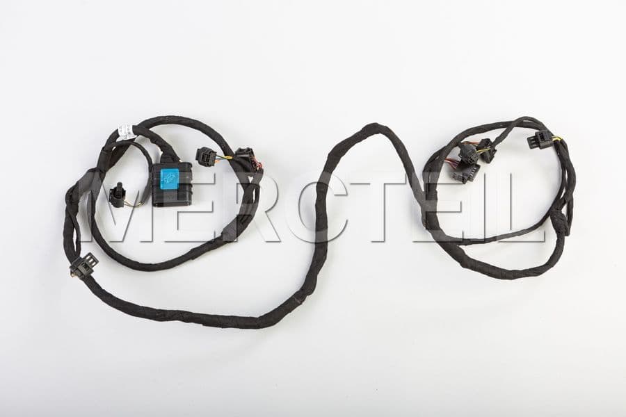 Buy the spare part MercedesBenz A2214401808 electrical wiring harness