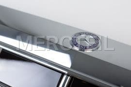 A22288004839040 MERCEDES-BENZ RADIATOR TRIM