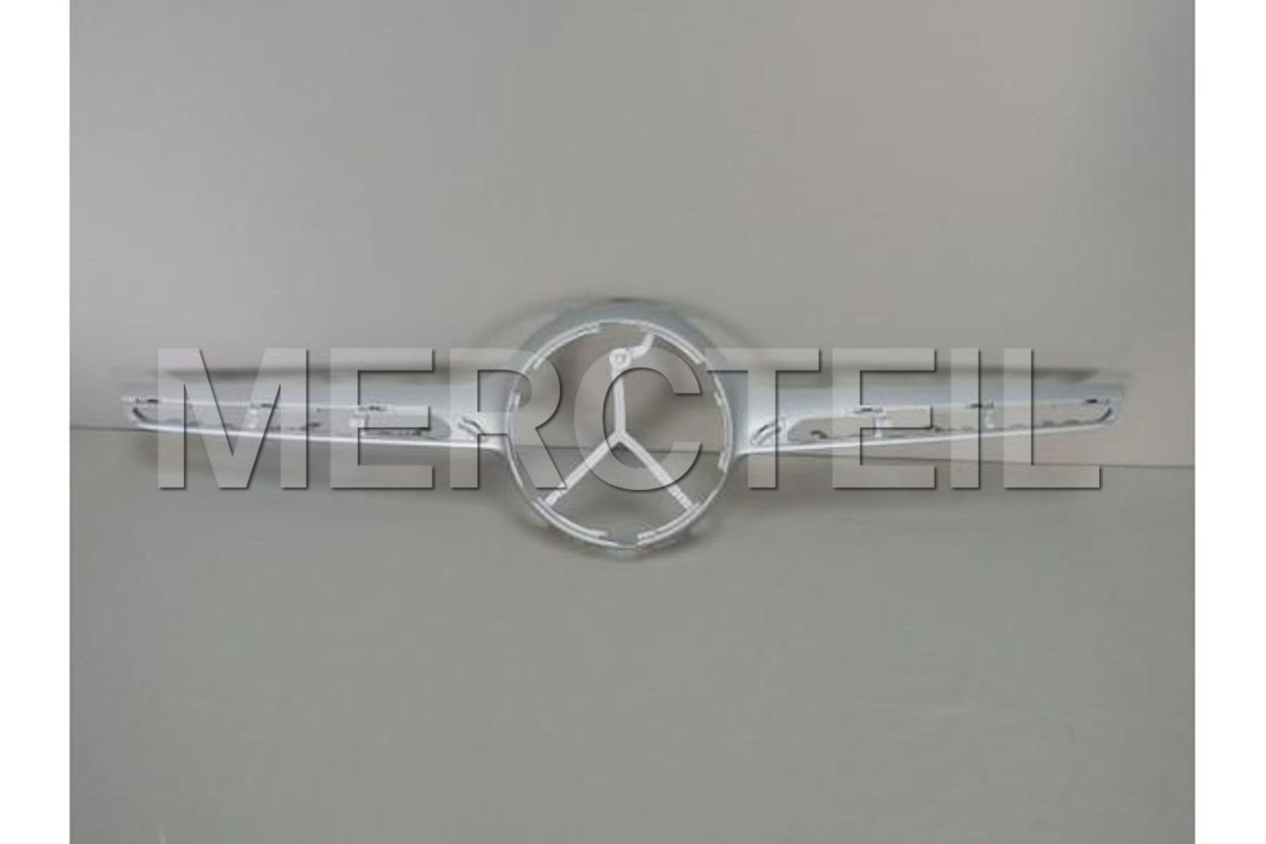 A25388809009982 MERCEDES-BENZ PROTECTIVE GRILLE