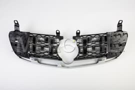 Mercedes R Class Radiator Grille W251 Genuine Mercedes Benz (part number: A25188002839776)