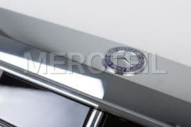 S Class W222 Radiator Grille Genuine Mercedes Benz (part number: A22288001839040)